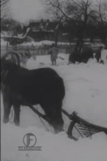 The Great Blizzard in the Baltics in December