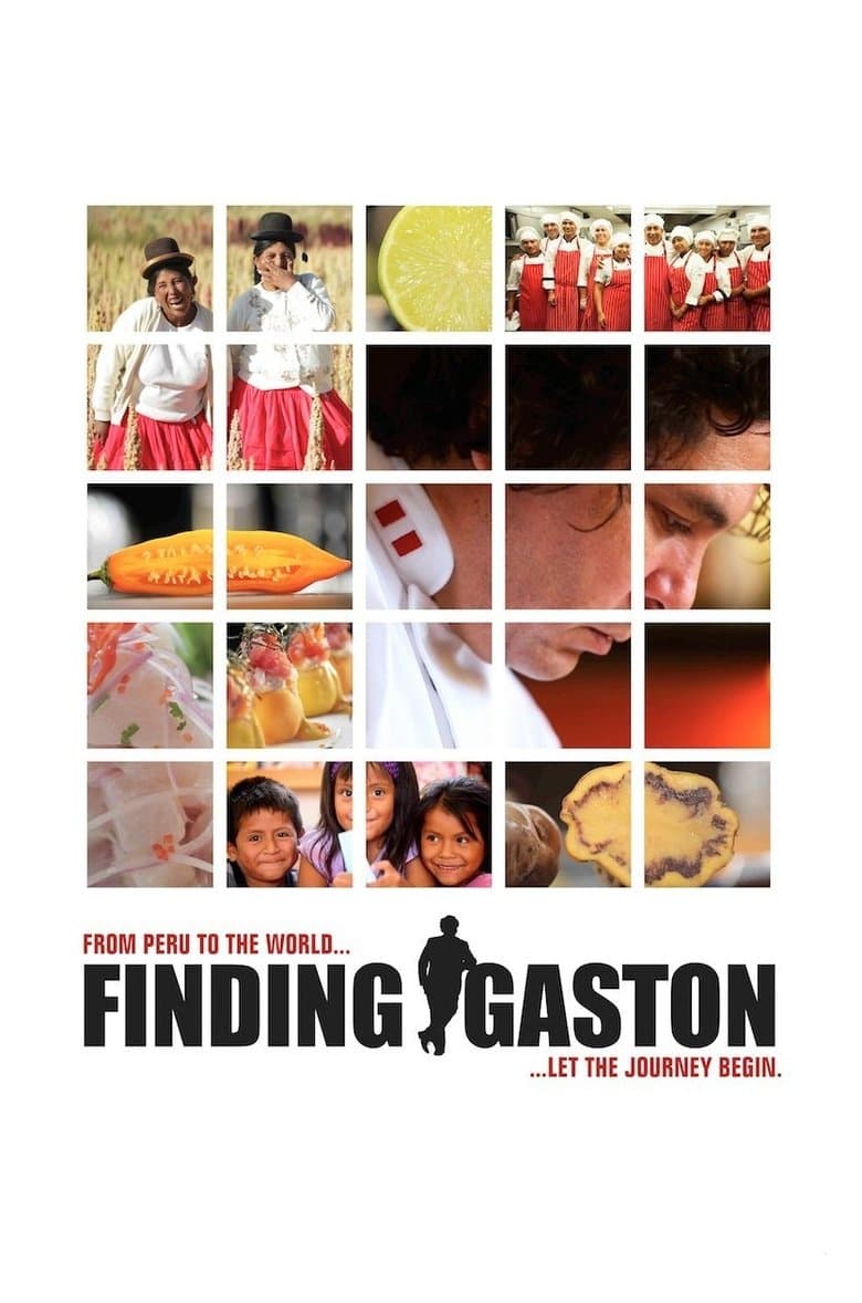 Buscando a Gastón